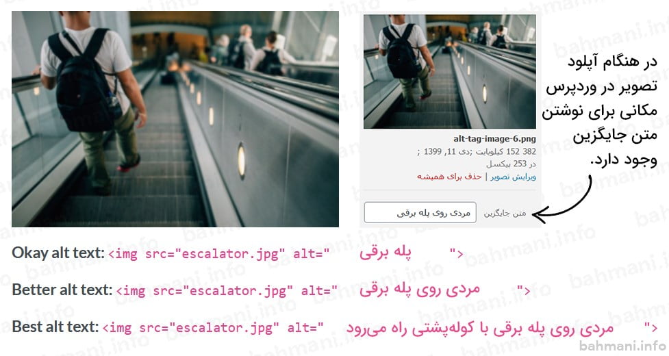 برای سئو چگونه متن جایگزین تصویر را بنویسیم